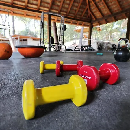 Parque de vacaciones Pine Glamping Homes *