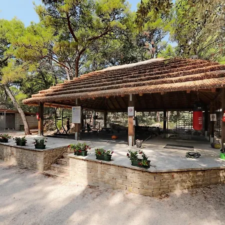 Pine Glamping Homes