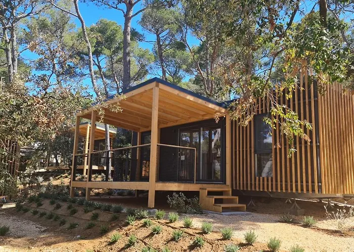 Kompleks wypoczynkowy Pine Glamping Homes