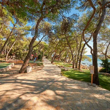 Pine Glamping Homes * باكوشتاني