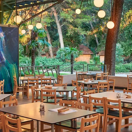 Pine Glamping Homes *